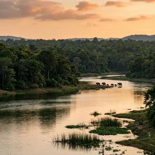 Mysore to Kabini Taxi