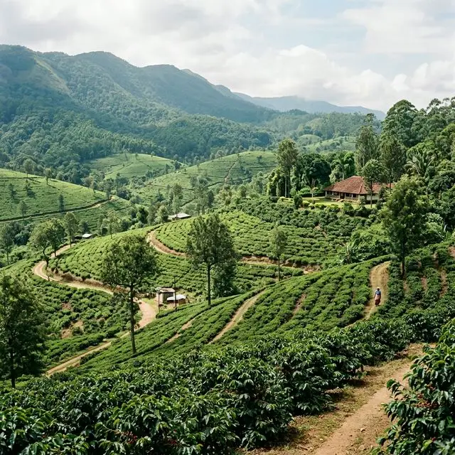 Elite Tour: Chikmagalur Day Trip