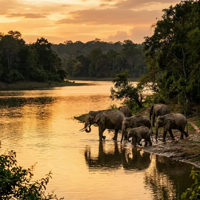 Elite Tour: Kabini Safari Tour